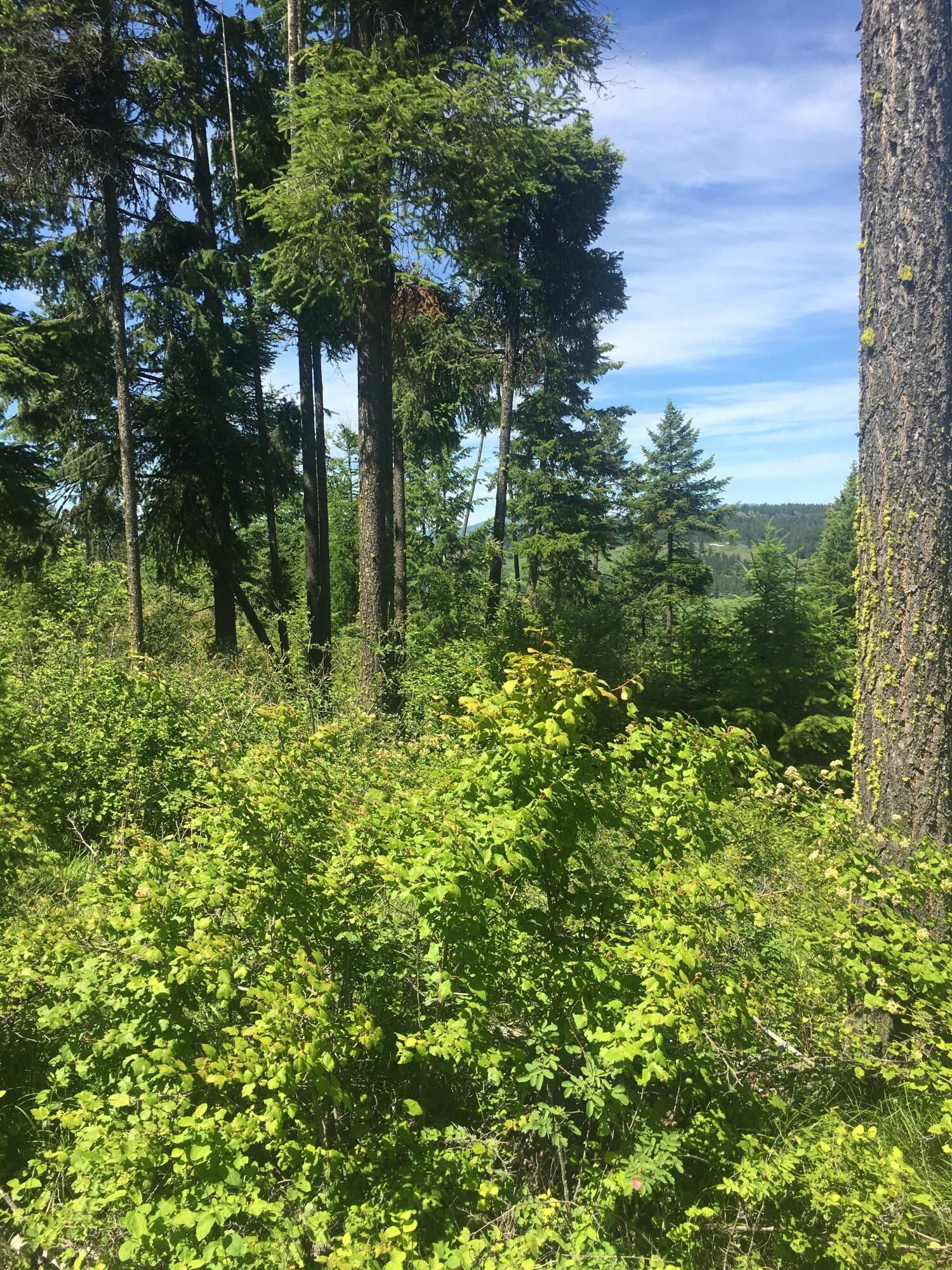 Property Photo: 2239 G Scott Rd WA 99167