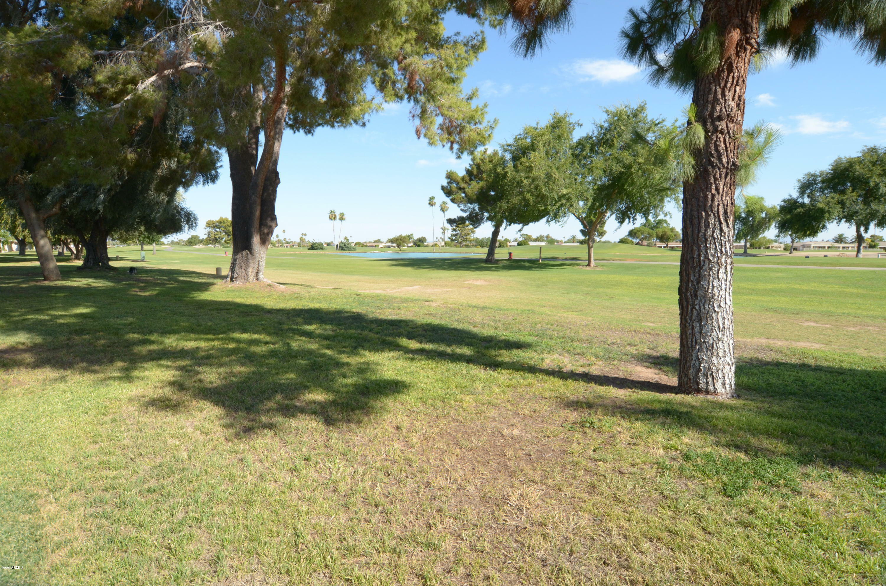 Property Photo:  10419 W Pineaire Drive  AZ 85351 