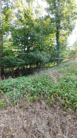 Property Photo: 698 Castle Drive 63357