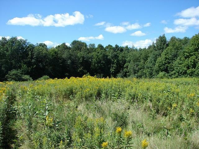 Property Photo:  Lot 15 50th Street  WI 54005 