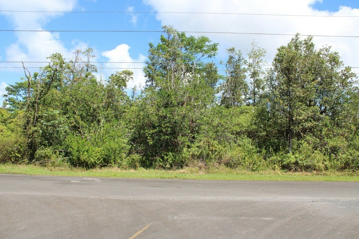 Property Photo:  Ainaloa Dr  HI 96778 