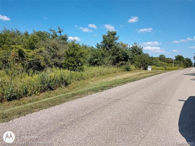 Vl Quackenbush Road  Reading Twp MI 49274 photo