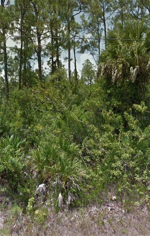 Property Photo:  4741 NW 1st Avenue  FL 34119 