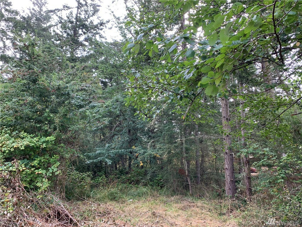 Property Photo: 256 Browne St WA 98250
