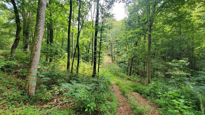 00 County Road 60  Athens TN 37303 photo