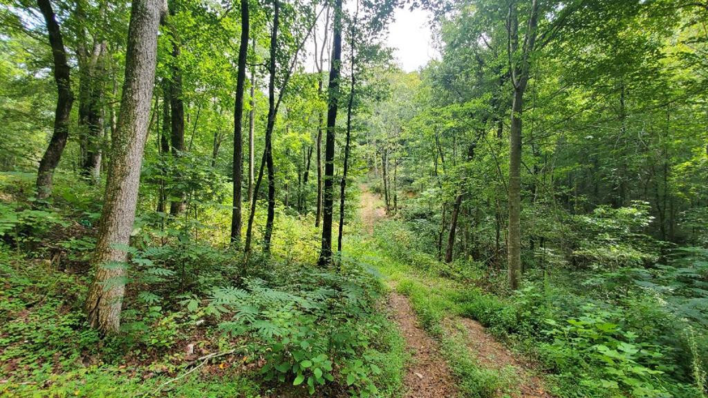 Property Photo: 00 County Road 60 TN 37303
