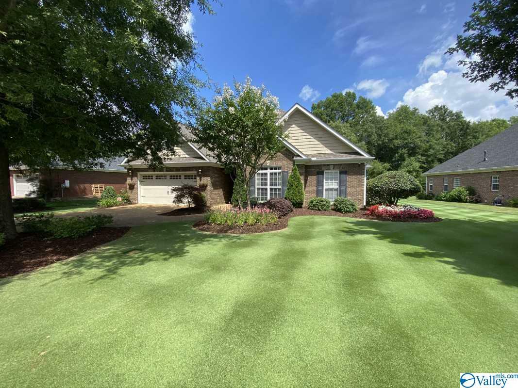 Property Photo:  4561 Laura Avenue  AL 35907 