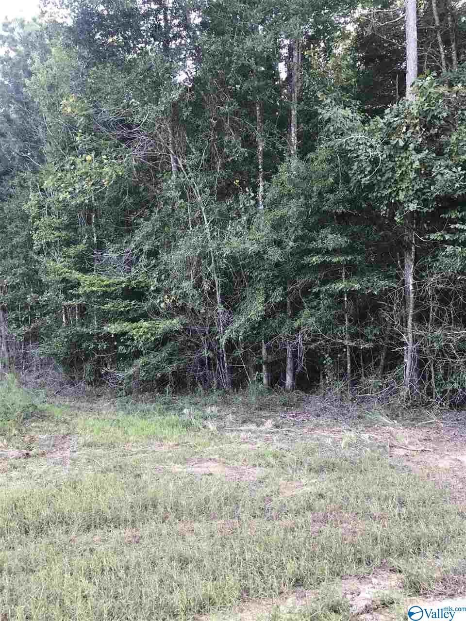 Property Photo:  Lot 28 County Road 279  AL 35650 