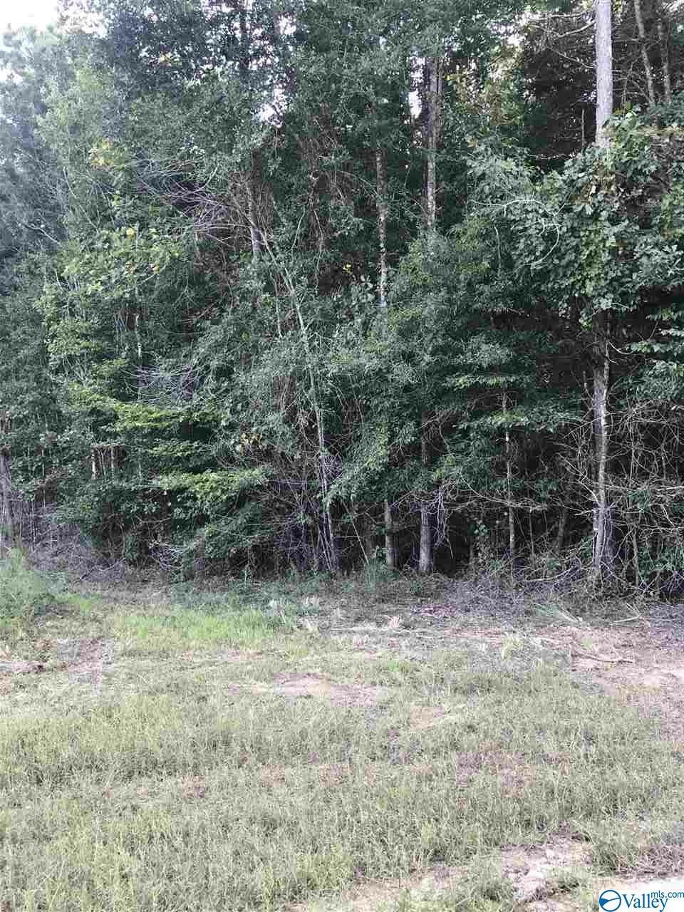 Lot 33 County Road 279  Moulton AL 35650 photo