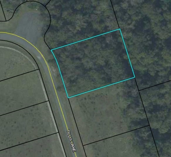 Property Photo:  Lot 38A Tillis Lane -  FL 32327 