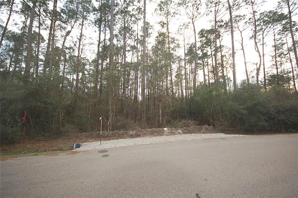 Property Photo:  30390 Erin Drive  LA 70445 