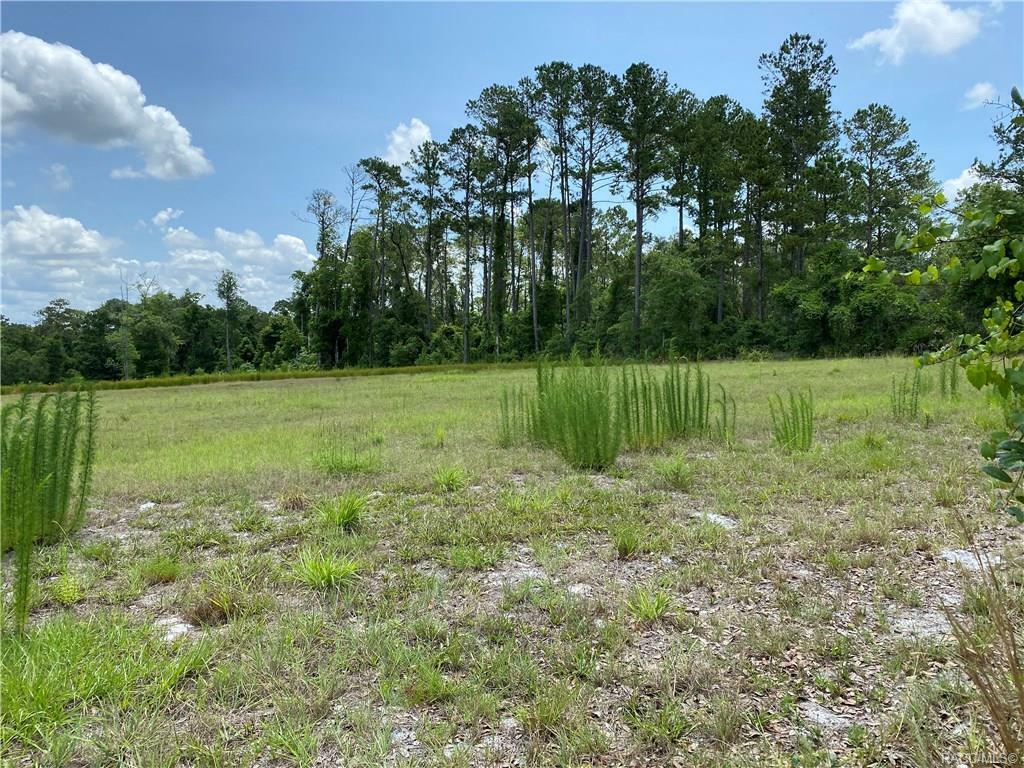 Property Photo:  000 W Batten Road  FL 34602 