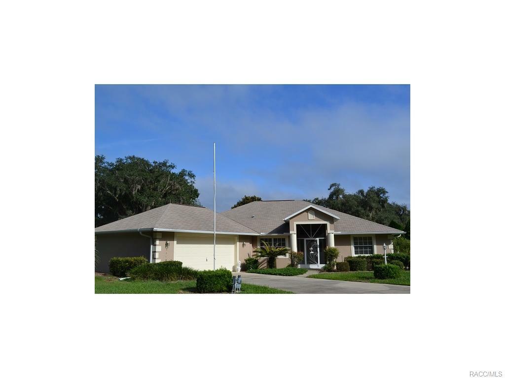 3119 E Brigadoon Court  Hernando FL 34442 photo