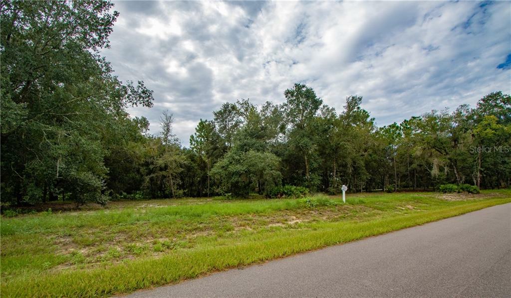 Property Photo:  3138 Bright Lake Circle  FL 34748 