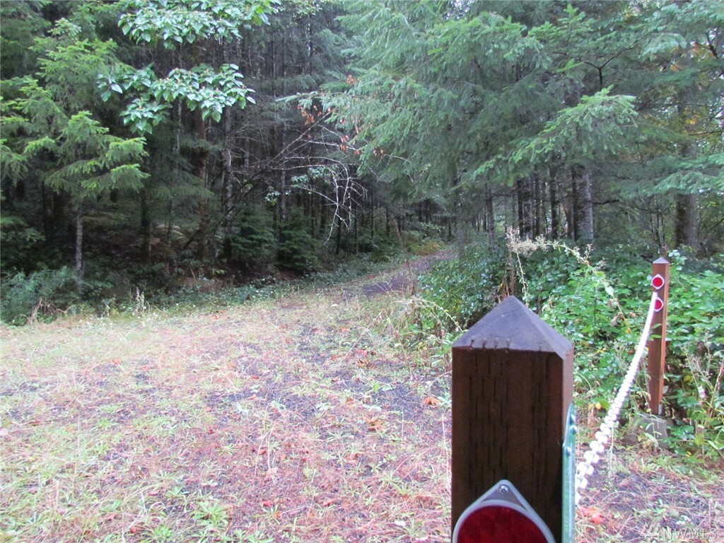 Property Photo:  11050 Lewis River Rd  WA 98603 