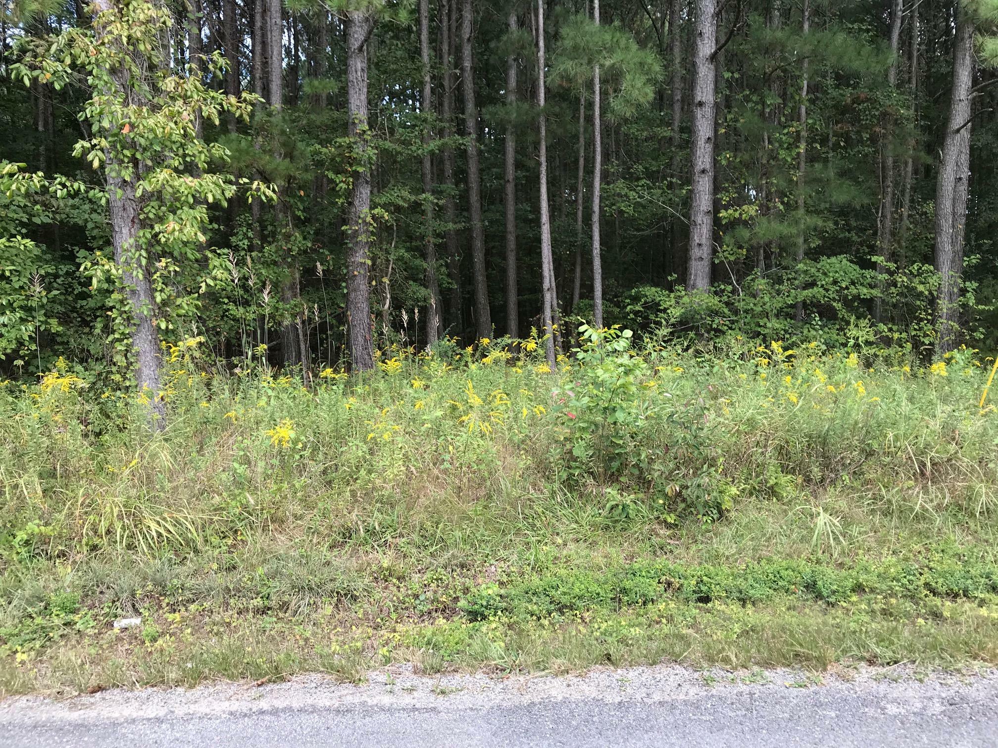 Property Photo:  County Road 788  TN 37331 