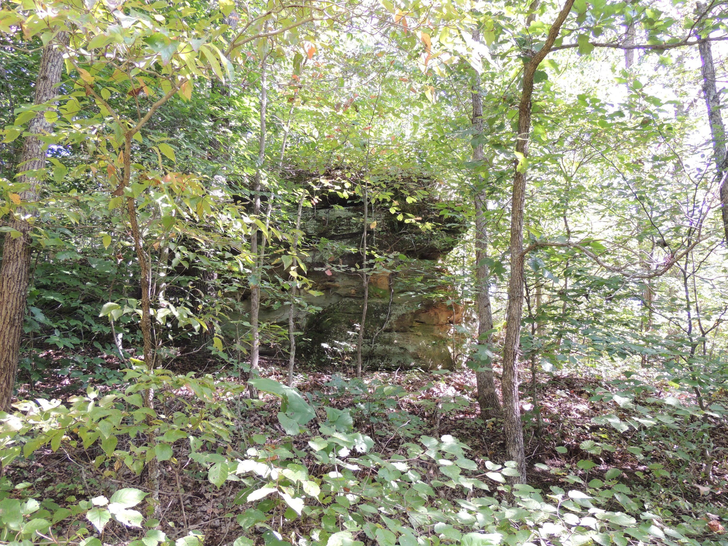 Property Photo: 0 Bain Perkins Road OH 45640