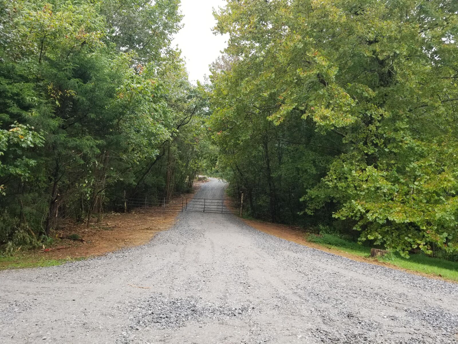 Property Photo:  Dunlap Hollow Rd  TN 37737 