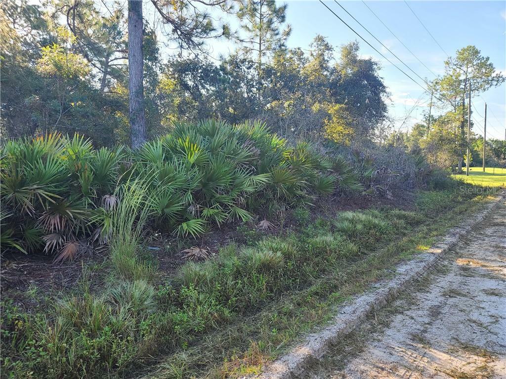 Property Photo:  1115 10th Avenue  FL 32724 