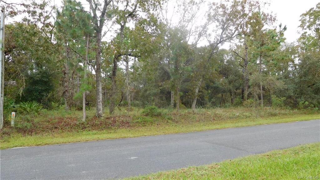 Property Photo:  2425 W Tall Oaks Drive  FL 34465 