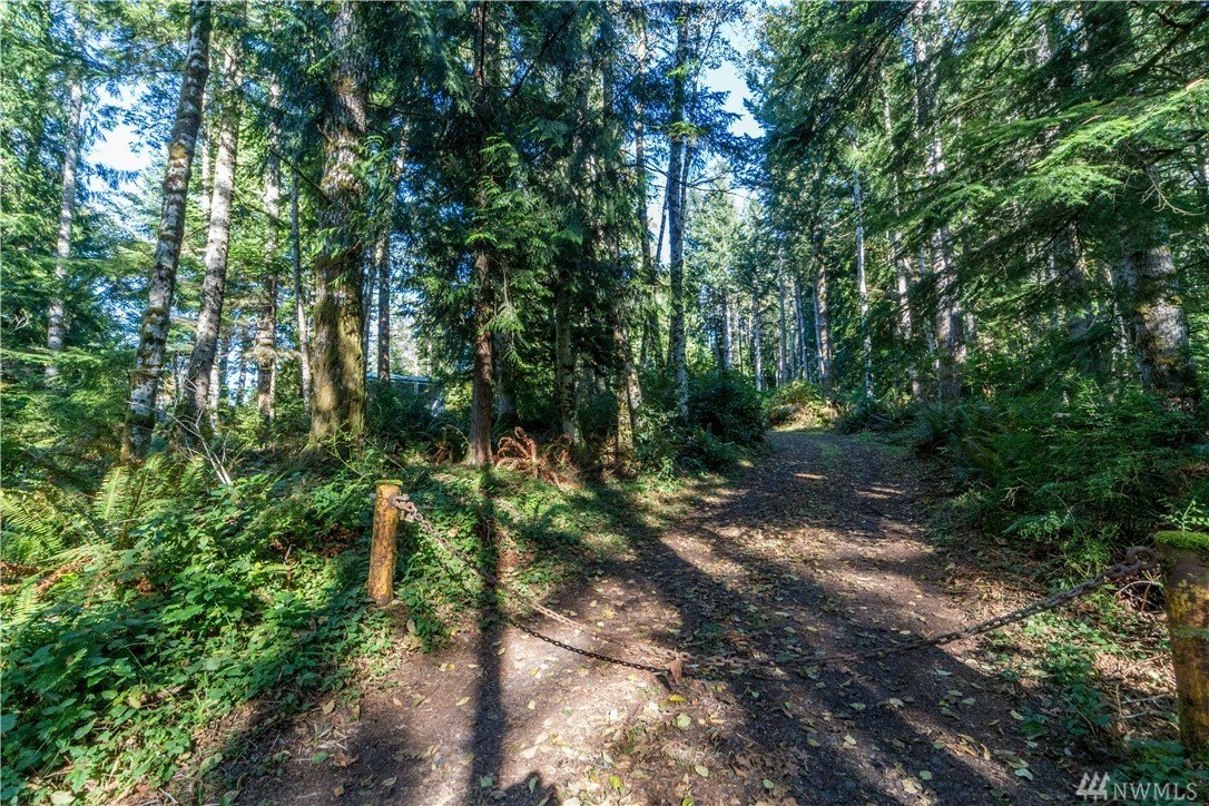 Property Photo:  231 Song Dog Hollow  WA 98376 