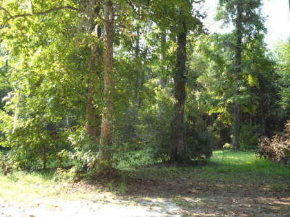 Property Photo:  0 N Hwy 52  SC 29461 