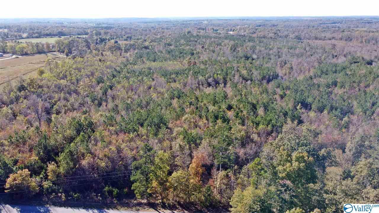 Property Photo: 0 County Road 784 AL 35966