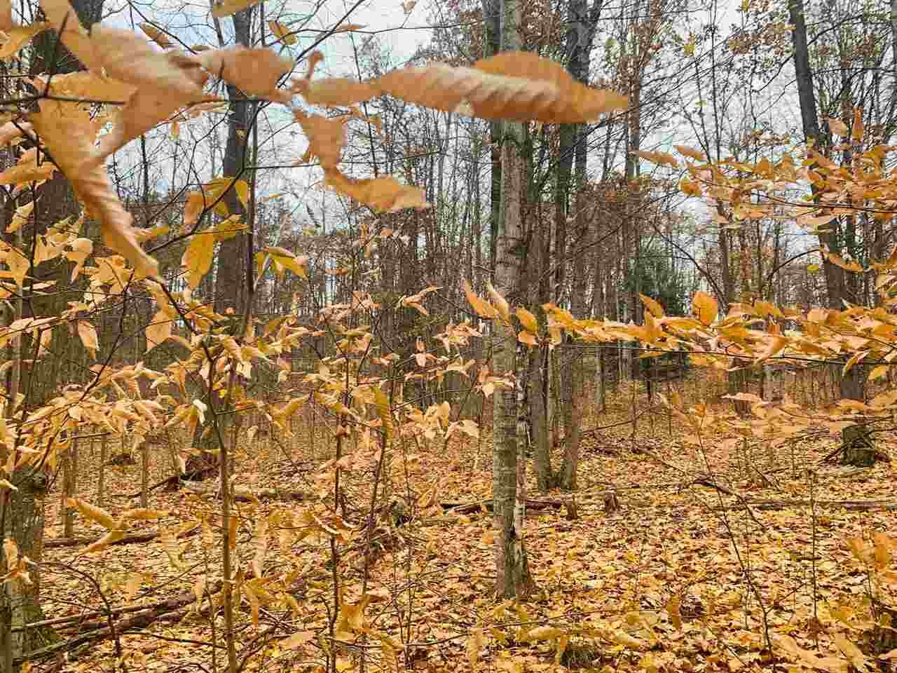 Property Photo:  Tbd Alden  MI 49659 