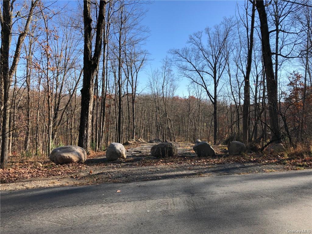 Roosa Gap Lot 1 Road  Wurtsboro NY 12790 photo