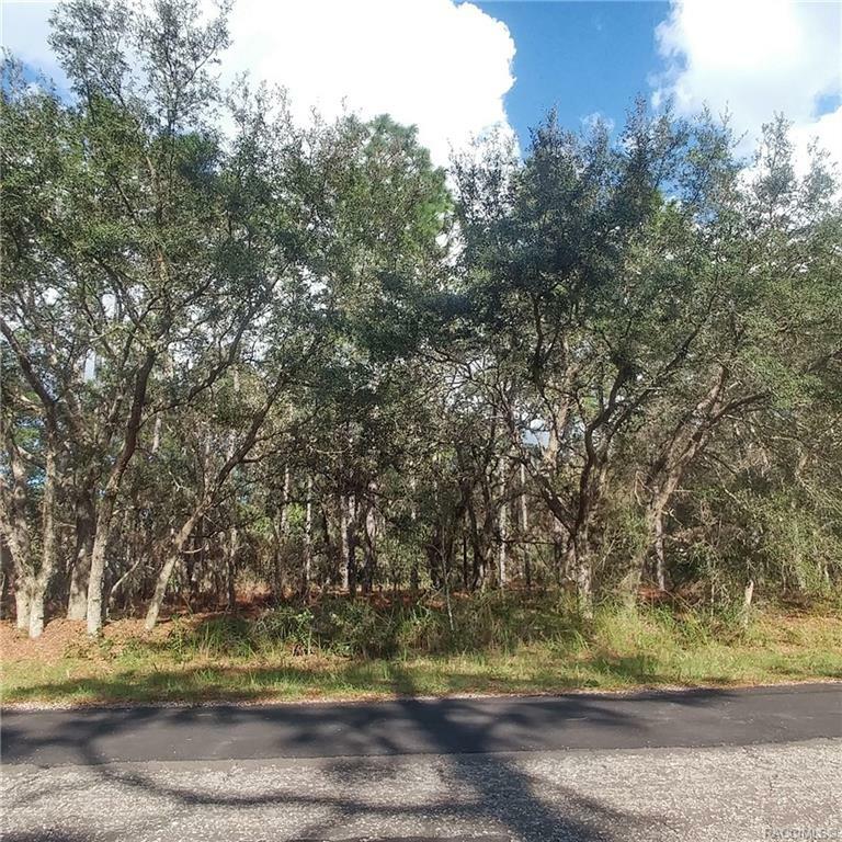 5717 N Bagwell Point  Citrus Springs FL 34434 photo