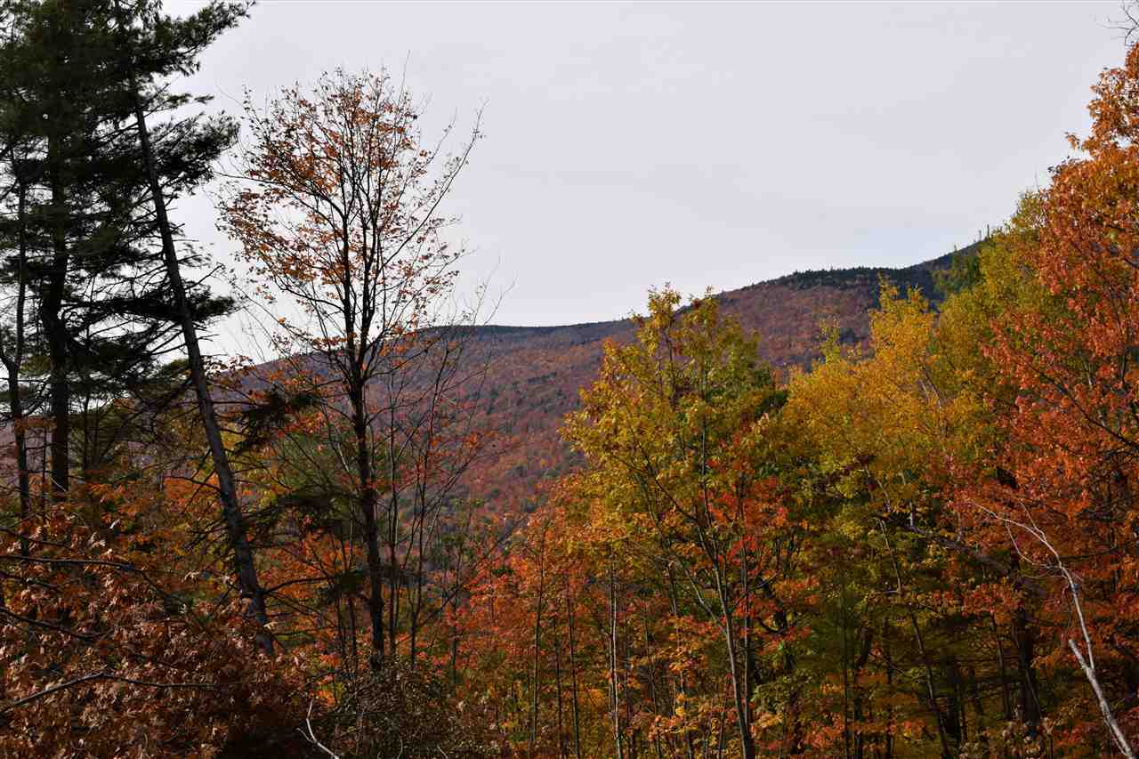 Property Photo:  31-373 Red House Road Lot 298-373  NH 03255 