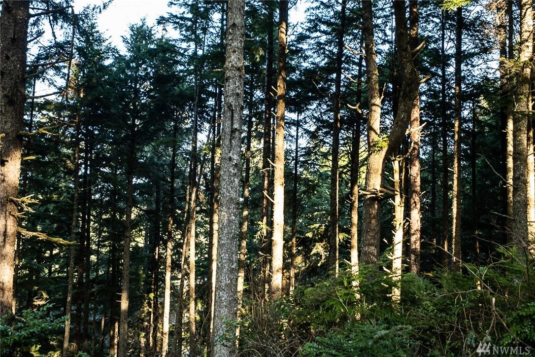 Property Photo: 9 Sprucewood Lane WA 98535