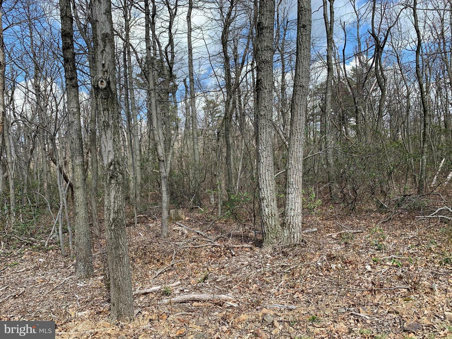 Property Photo:  0 Endwood Trail  VA 22603 