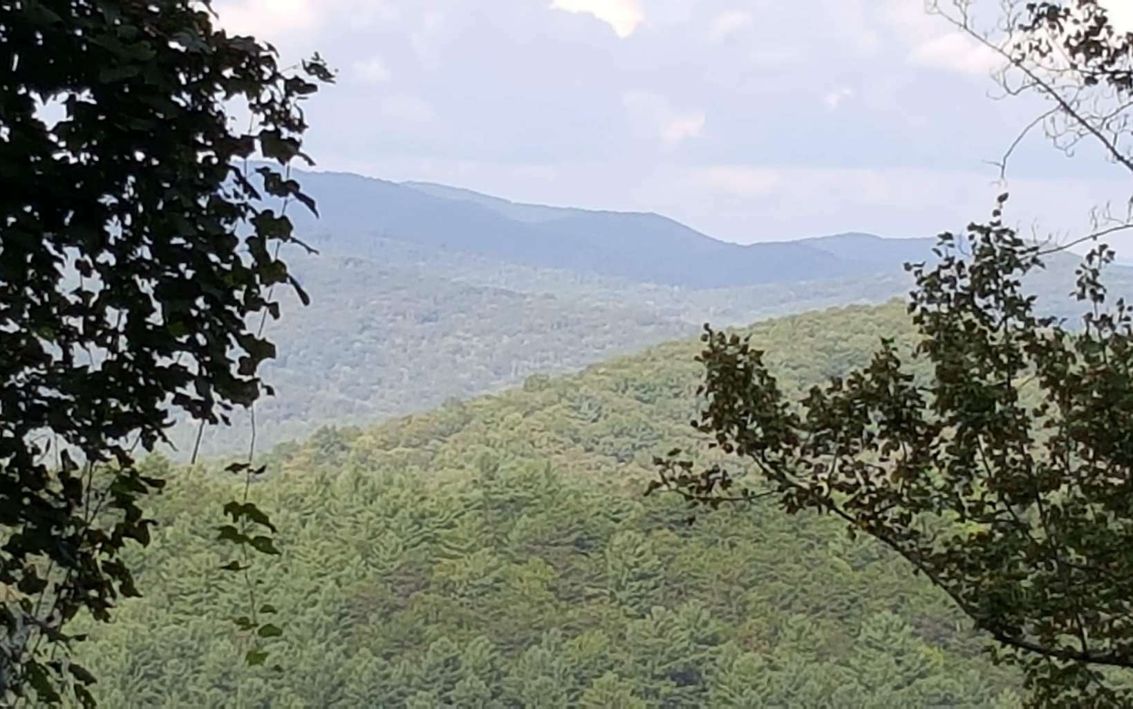 Property Photo:  Lt 3 Fox Mountain(Tipton)  GA 30533 