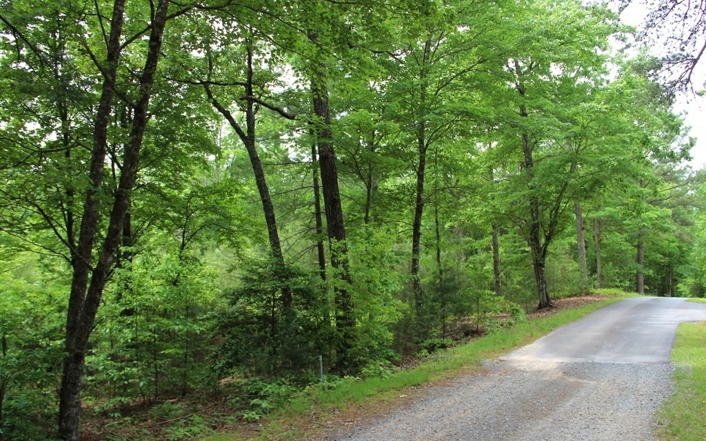 Property Photo:  Echo Valley Rd 3acs  GA 30560 