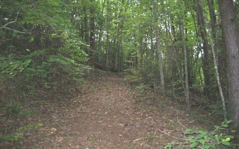 3.6ac Mull Road  Blairsville GA 30512 photo