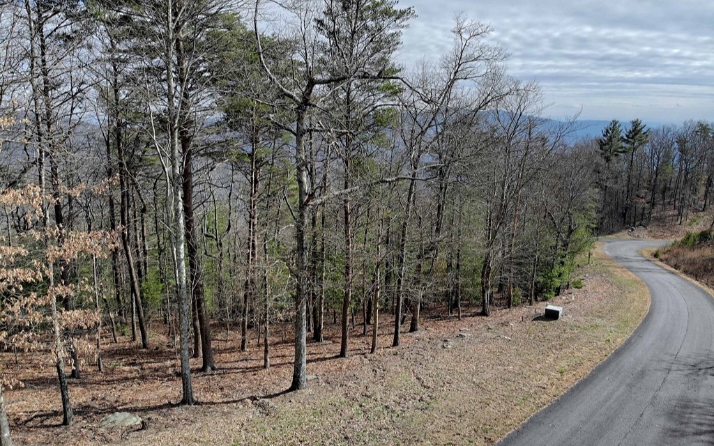 Property Photo:  163 Summit Pass  GA 30706 