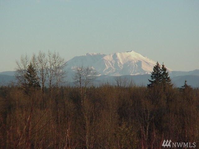 Property Photo:  128 Volcano Lane  WA 98565 