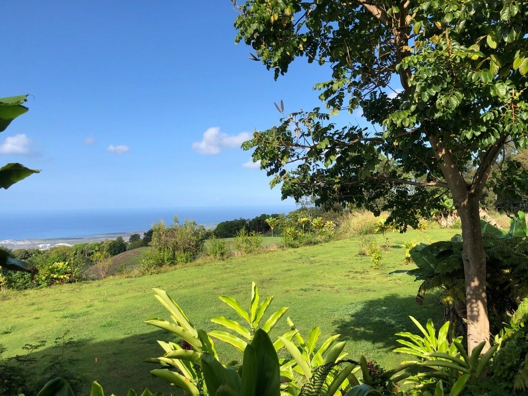 Property Photo:  74-4982 Mamalahoa Hwy  HI 96740 