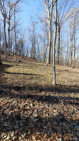 Property Photo: 0 Lot 23 Rebecca Lane 63357