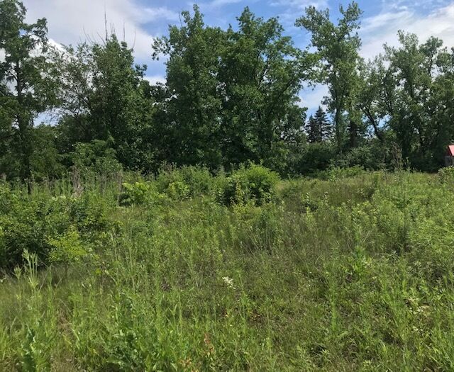 Property Photo: 1161 Secret Forest Drive IL 60527