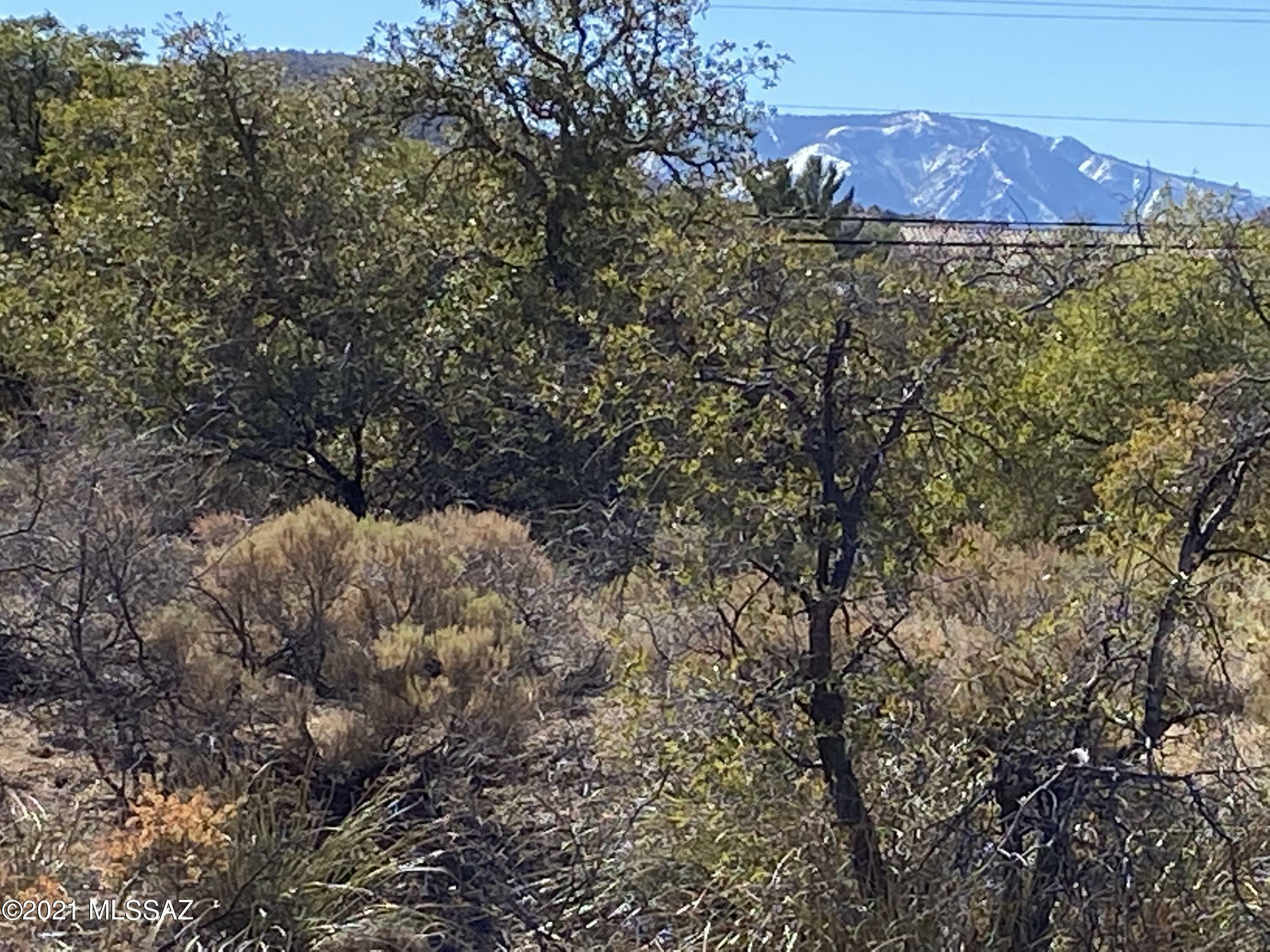 Property Photo: E Mt Lemmon Highway AZ 85623