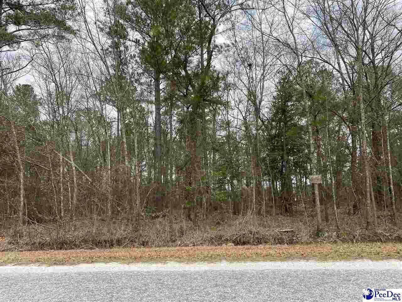 Property Photo:  Lot 45 Club Drive  SC 29069 