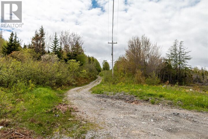 Property Photo:  120 Elizabeth Street Parcel 045  NL A2H 6A1 