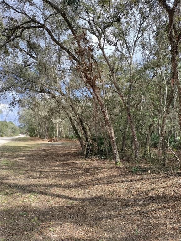 Property Photo:  8189 Shellstream Drive  FL 33597 