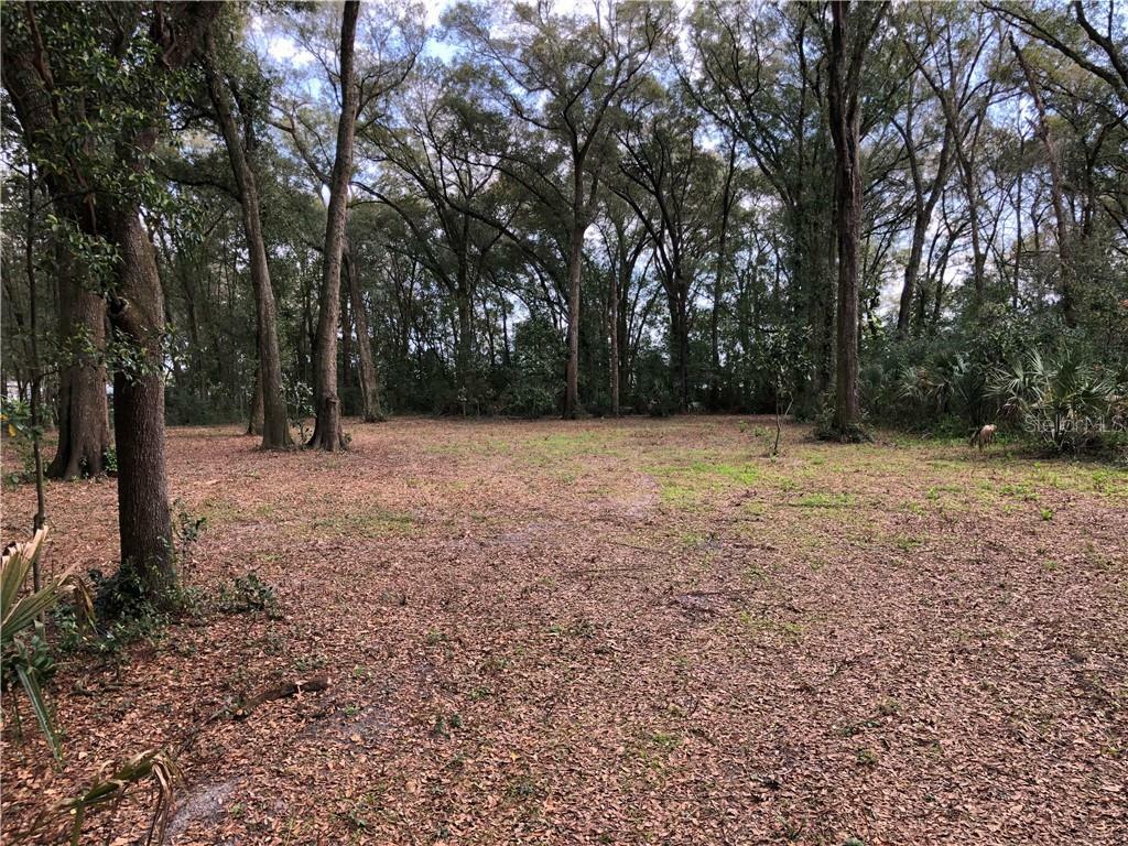 Property Photo:  0 23rd Street  FL 33542 