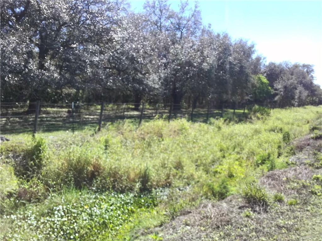 Property Photo:  5692 SE County Road 763  FL 34266 