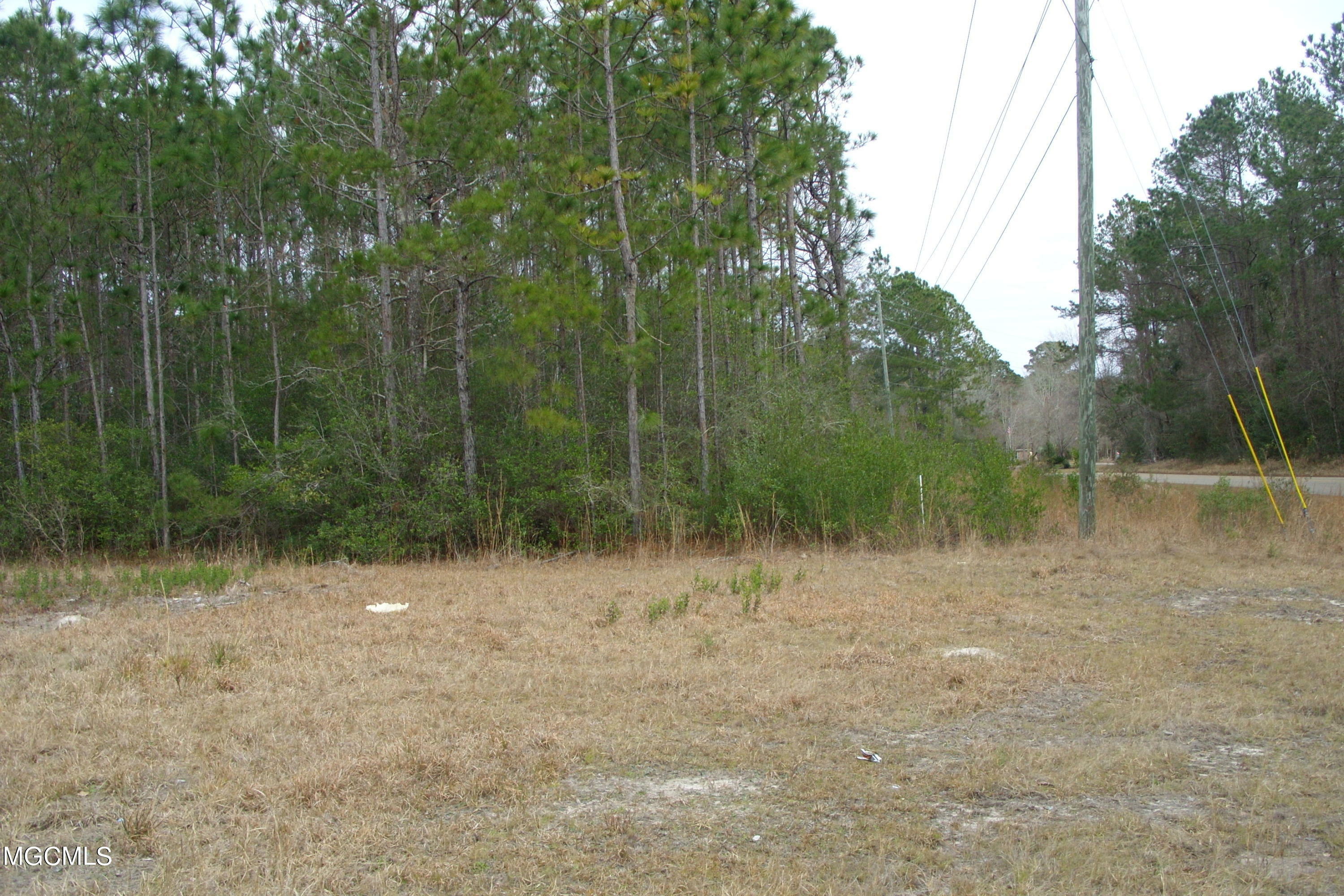 Property Photo:  0 Old Shell Landing Road  MS 39564 