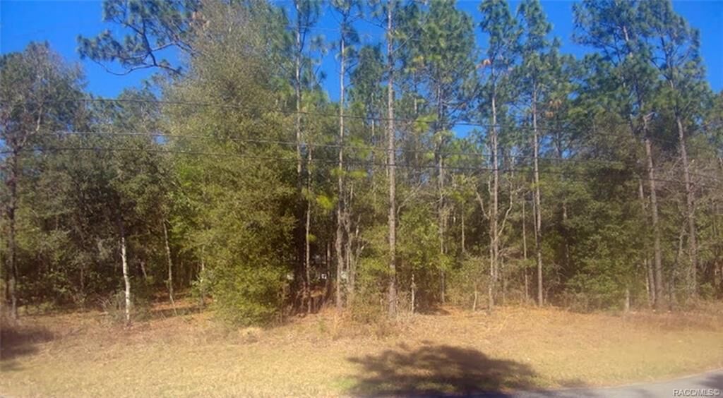 Property Photo: 5191 E Tenison Street FL 34452