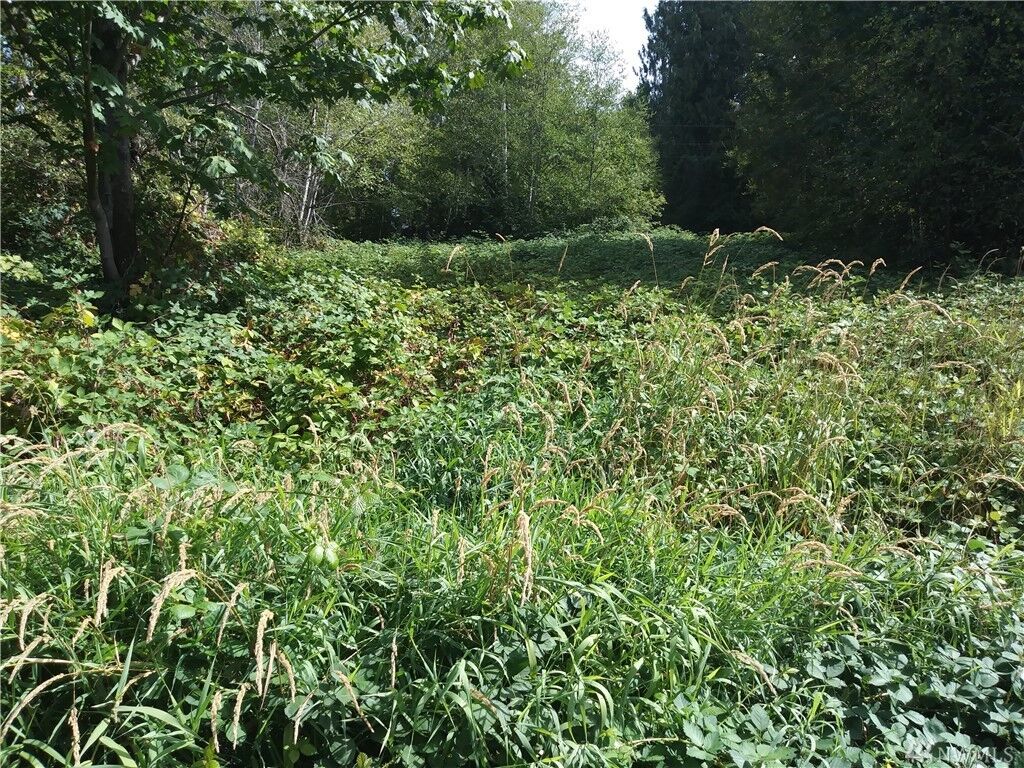 Property Photo: 81 E Soundview Dr WA 98584